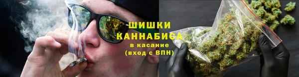дмт Нягань