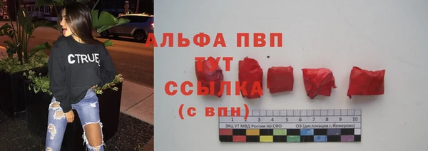 дмт Нягань