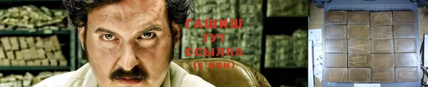 дмт Нягань