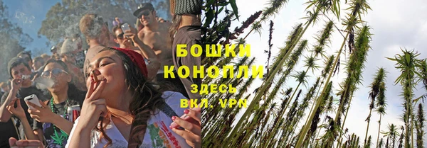 дмт Нягань